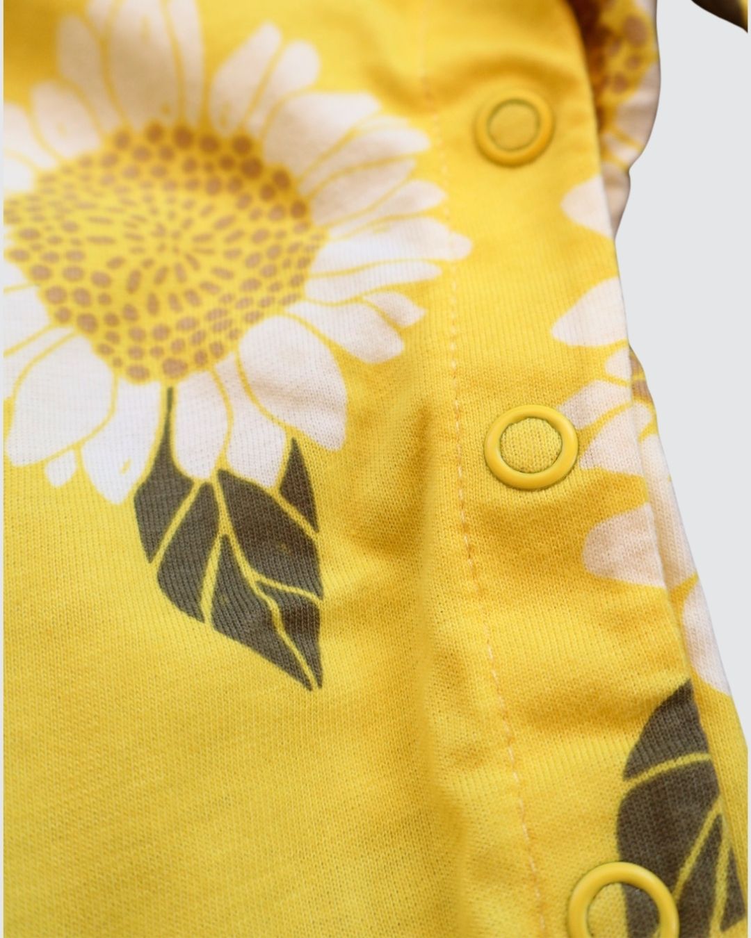 Carter’s 12 months